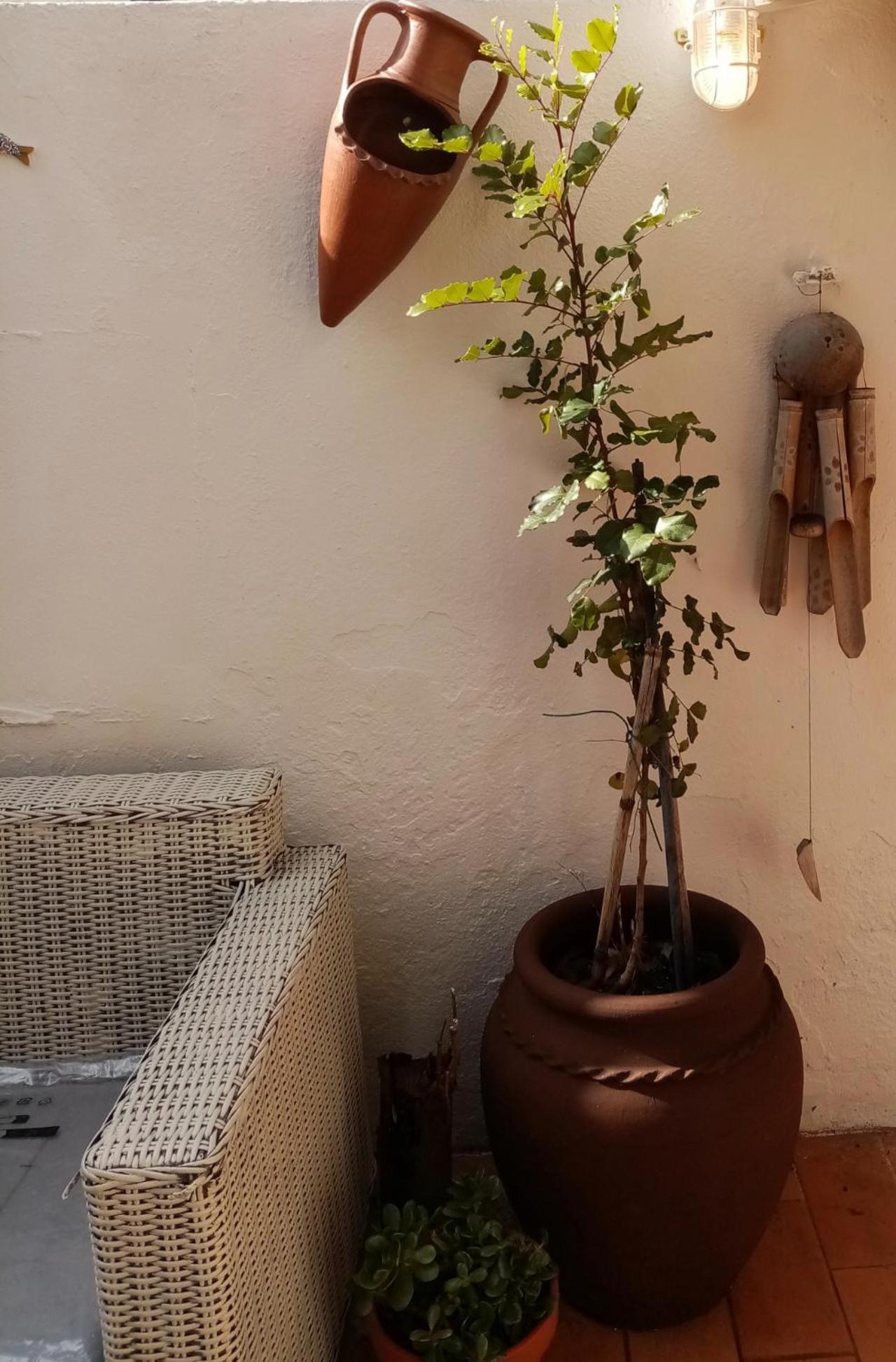 오양 Casa Rustica 빌라 외부 사진